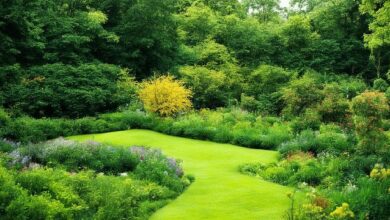 Садовый ландшафт - уютное и гармоничное окружение